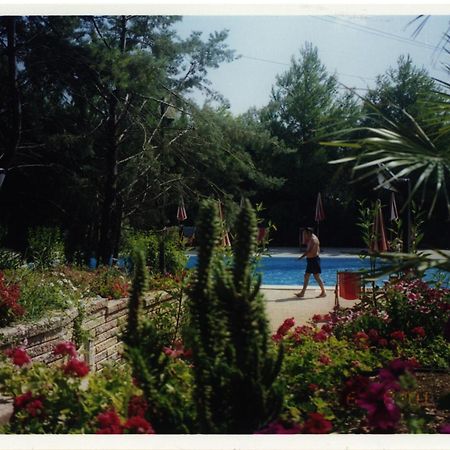 Residence Villa Agrimare Vieste Buitenkant foto